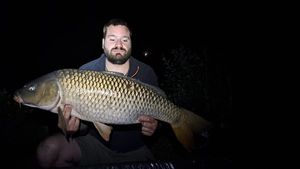 Common Carp