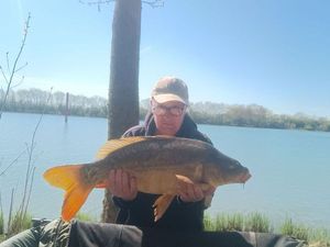 Mirror Carp