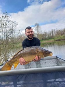 Mirror Carp