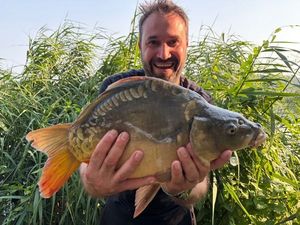 Mirror Carp