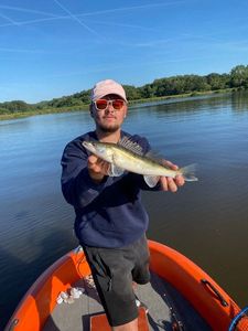 Zander