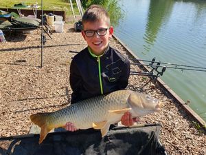Common Carp