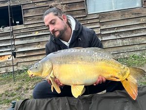 Mirror Carp
