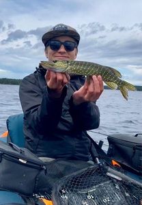 Northern Pike