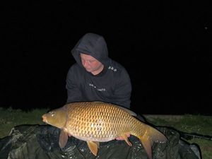 Common Carp