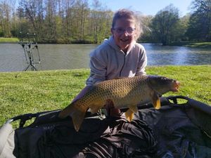 Common Carp