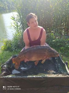 Mirror Carp