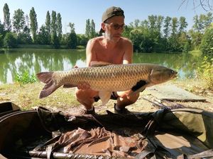 Grass Carp