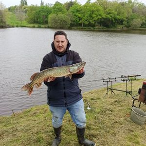 Northern Pike