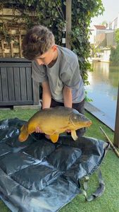 Mirror Carp