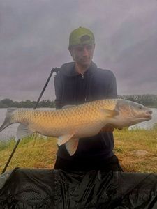Grass Carp