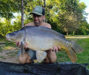 Mirror Carp