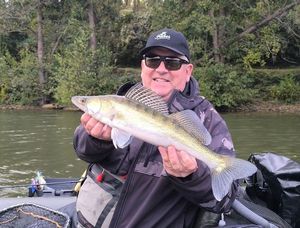 Zander