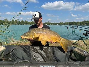 Mirror Carp
