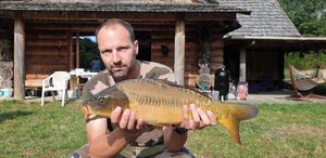 Mirror Carp