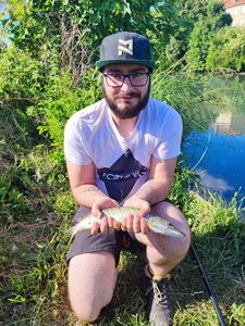 Chain Pickerel