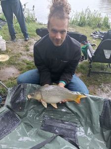 Common Carp