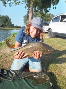 Mirror Carp