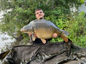 Mirror Carp