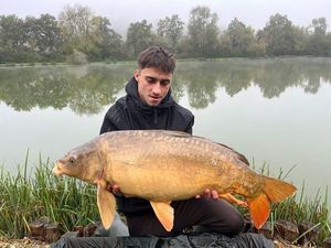 Mirror Carp