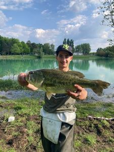 Smallmouth Bass