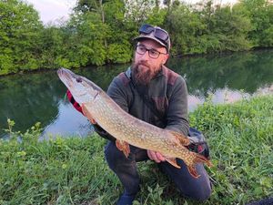Northern Pike