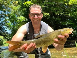 Barbel