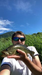 Largemouth Bass