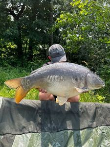 Leather Carp