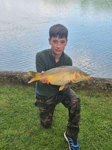 Mirror Carp