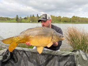 Mirror Carp