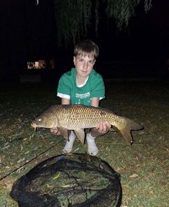 Common Carp
