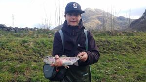 Rainbow Trout