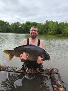 Mirror Carp