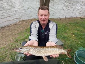 Northern Pike