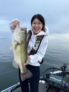 Largemouth Bass