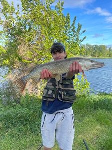 Northern Pike