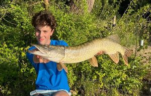 Northern Pike