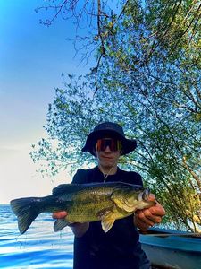 Smallmouth Bass