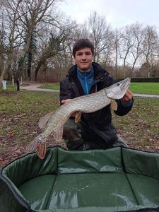 Northern Pike