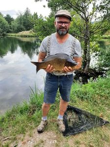 Common Carp