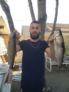Rainbow Trout