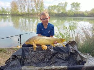 Common Carp