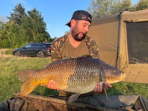 Common Carp