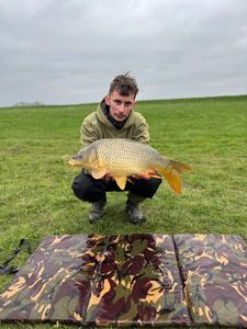 Mirror Carp