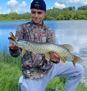 Northern Pike