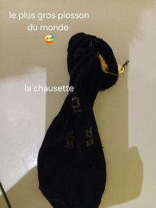 Chausette