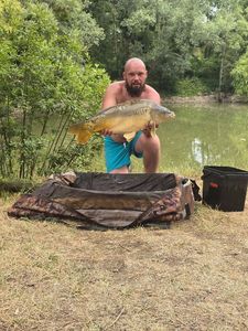 Mirror Carp