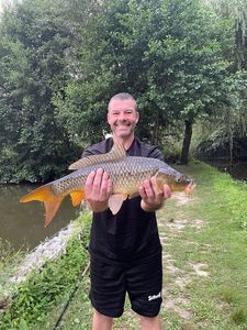 Common Carp