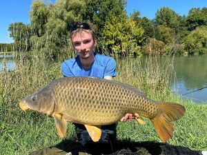 Common Carp